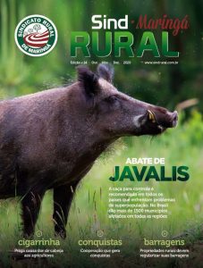 REVISTA-SINDRURAL-14-NOVEMBRO-2020