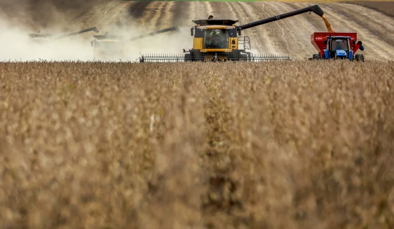 AFP__20210408__97L9YT__v1__HighRes__BrazilAgricultureHarvestSoy-scaled