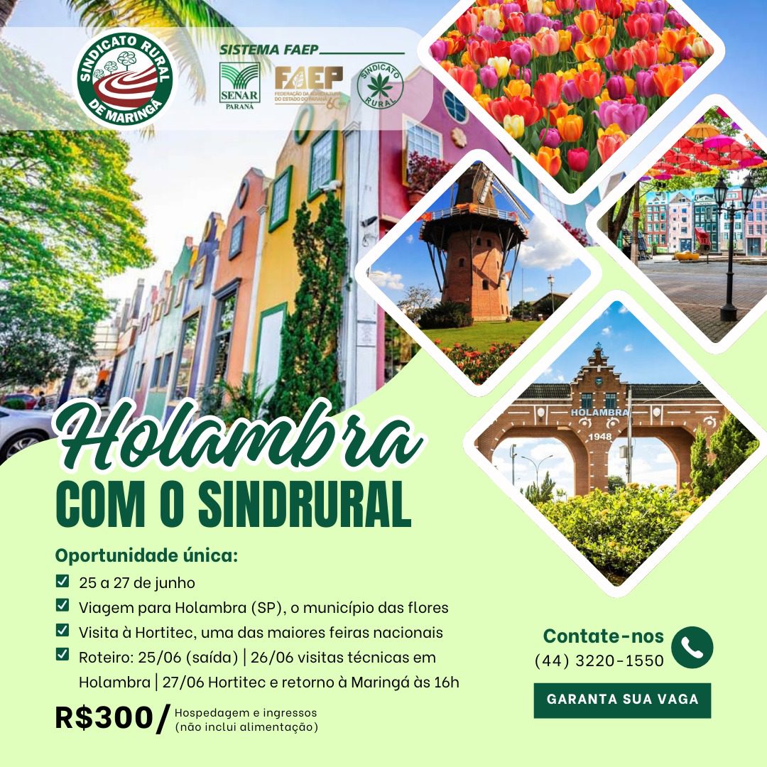 WhatsApp Image 2025-03-11 at 15.05.14