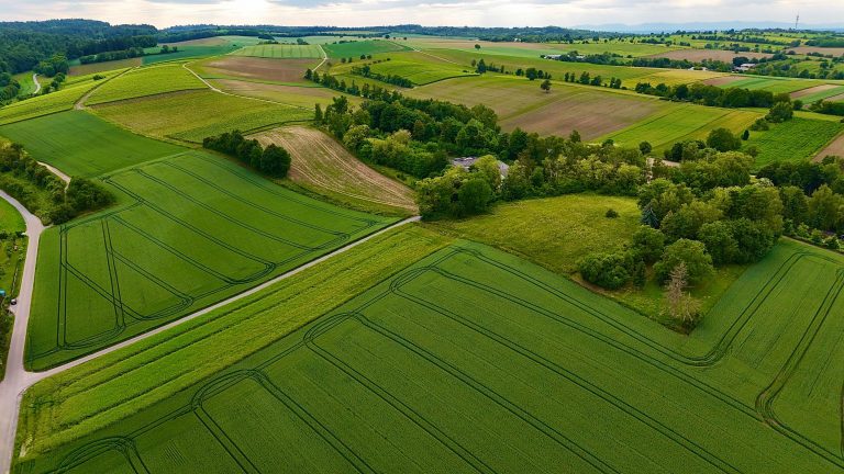 pexels-antonio-di-giacomo-64078839-32370506