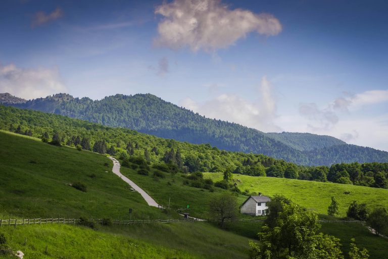 pexels-catalin-todosia-876894548-32700870