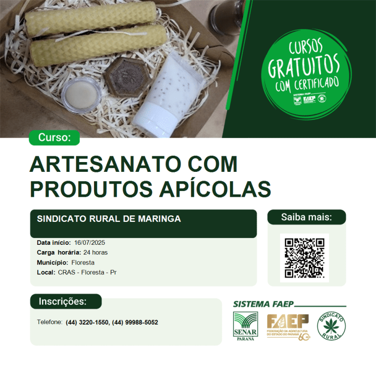 Artesanato com produtos apicolas