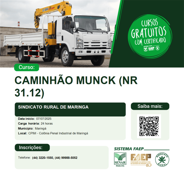 Caminhao Munck (NR 31.12)
