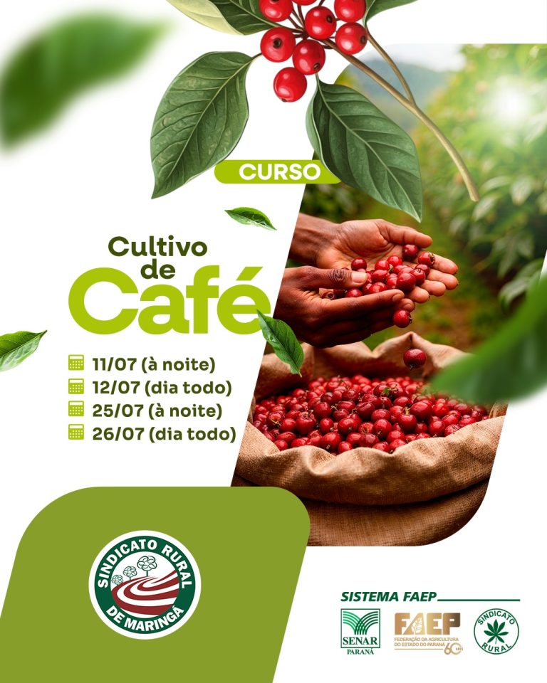 WhatsApp Image 2025-06-06 at 14.32.54 (1)