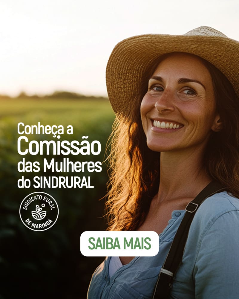 pop-up-comissao-mulheres-new