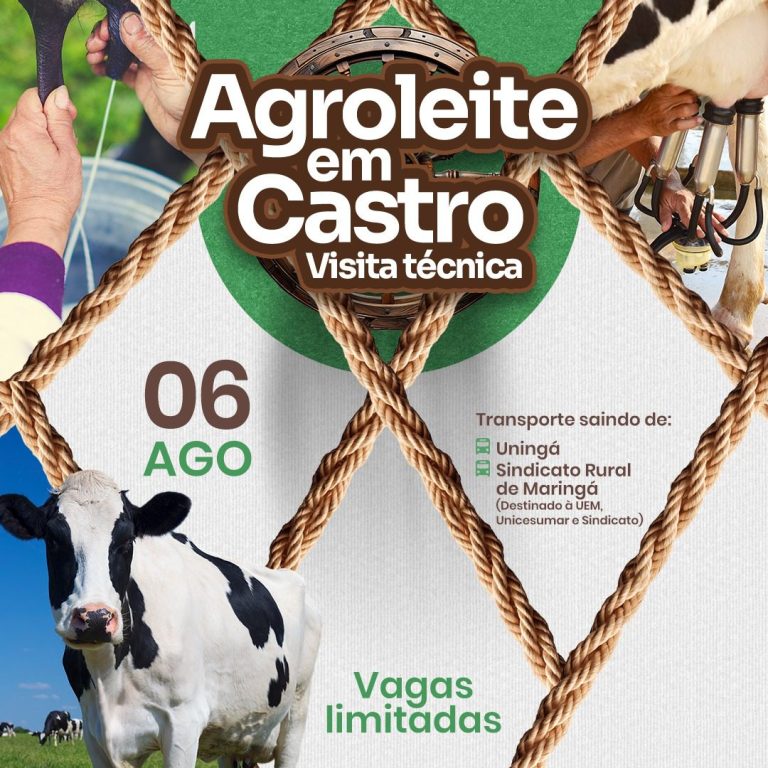 WhatsApp Image 2025-07-15 at 14.58.14