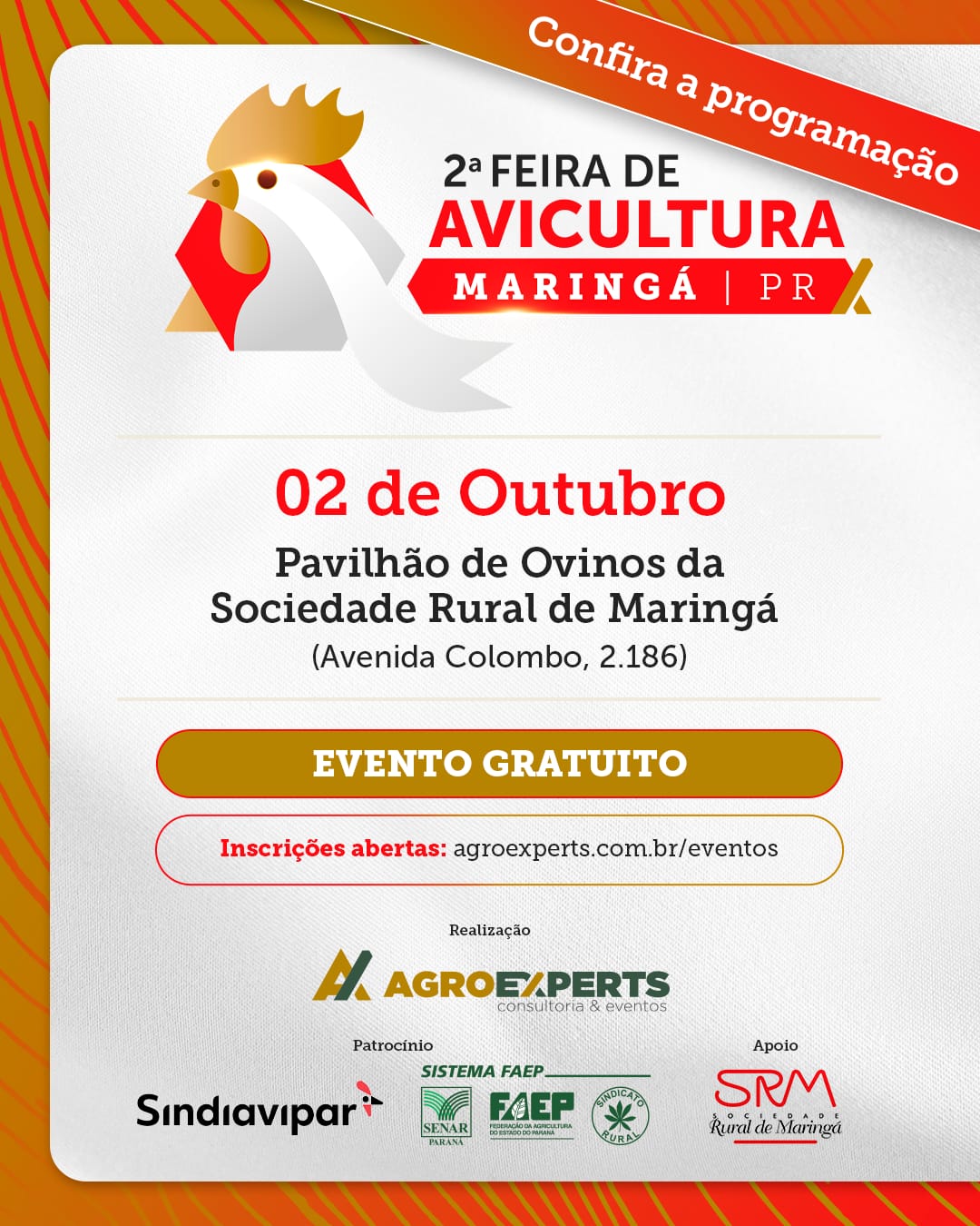 WhatsApp Image 2025-09-09 at 16.37.25