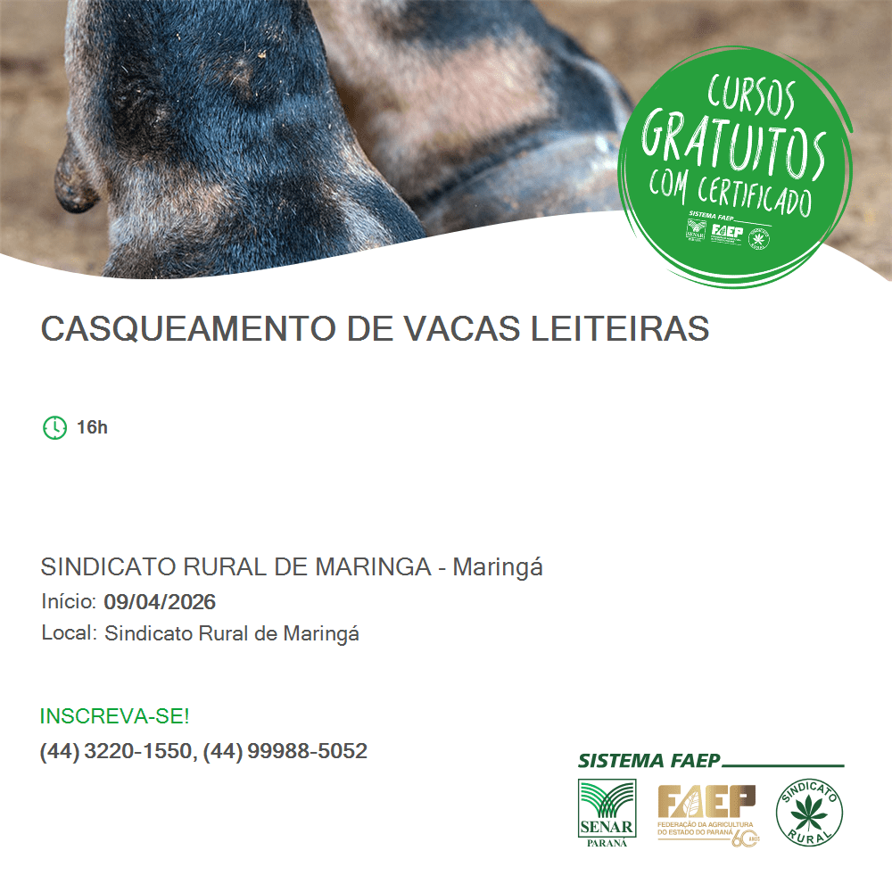 Casqueamento de Vacas Leiteiras (1)