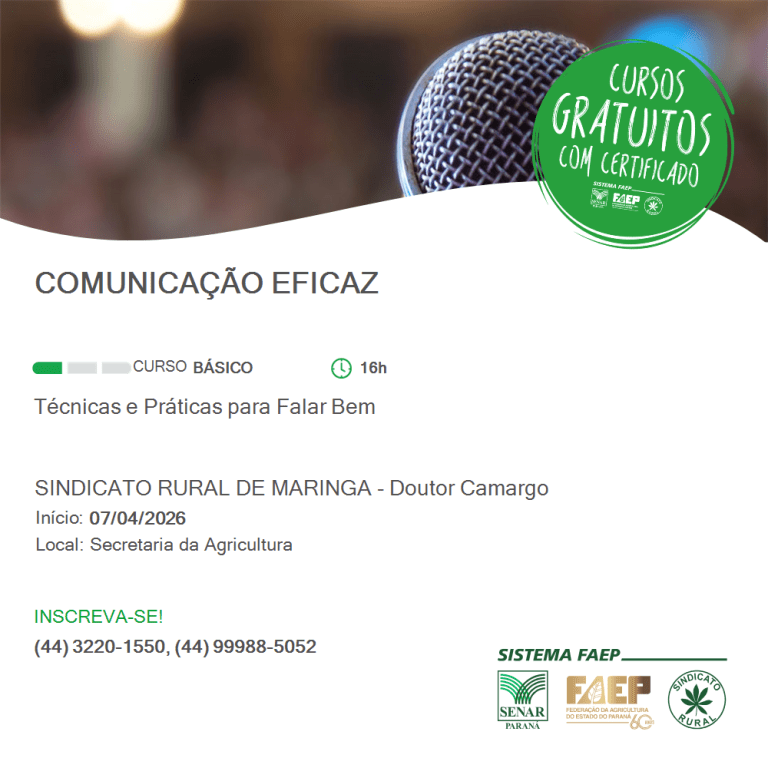 Comunicacao Eficaz