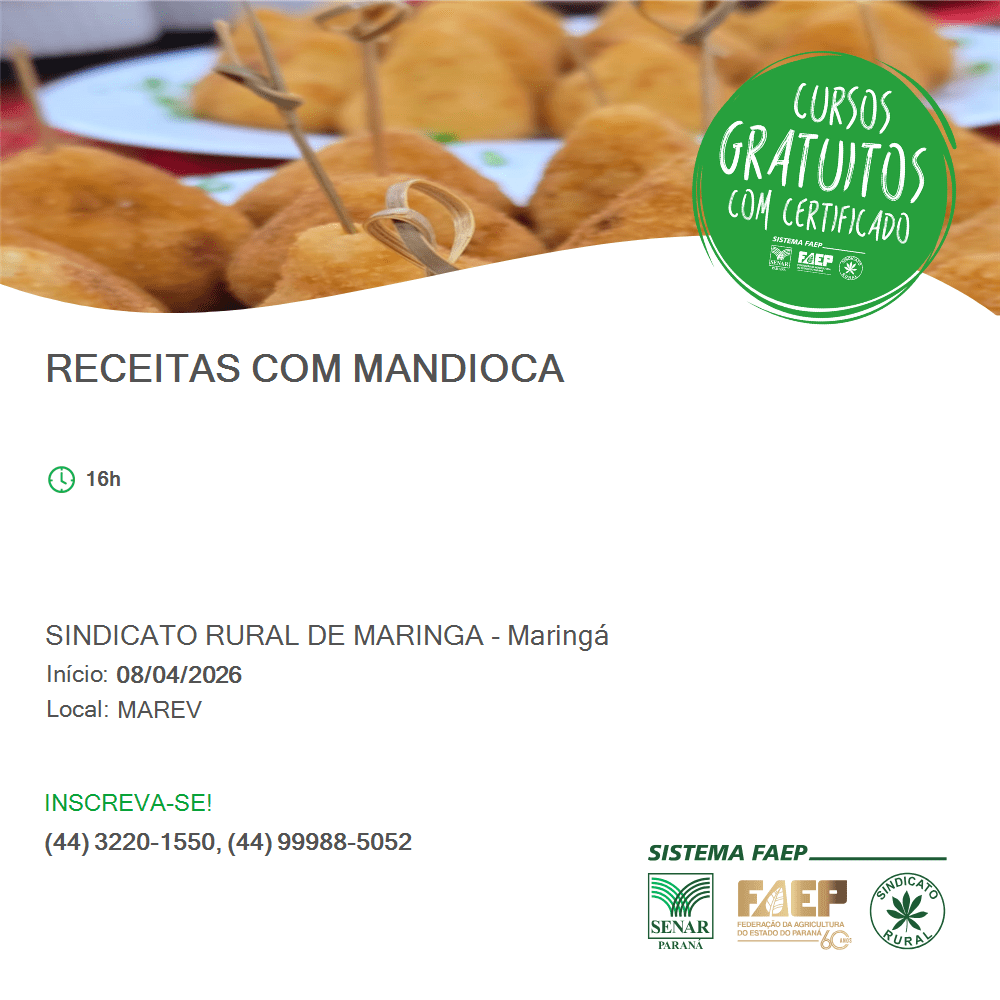 Receitas com Mandioca